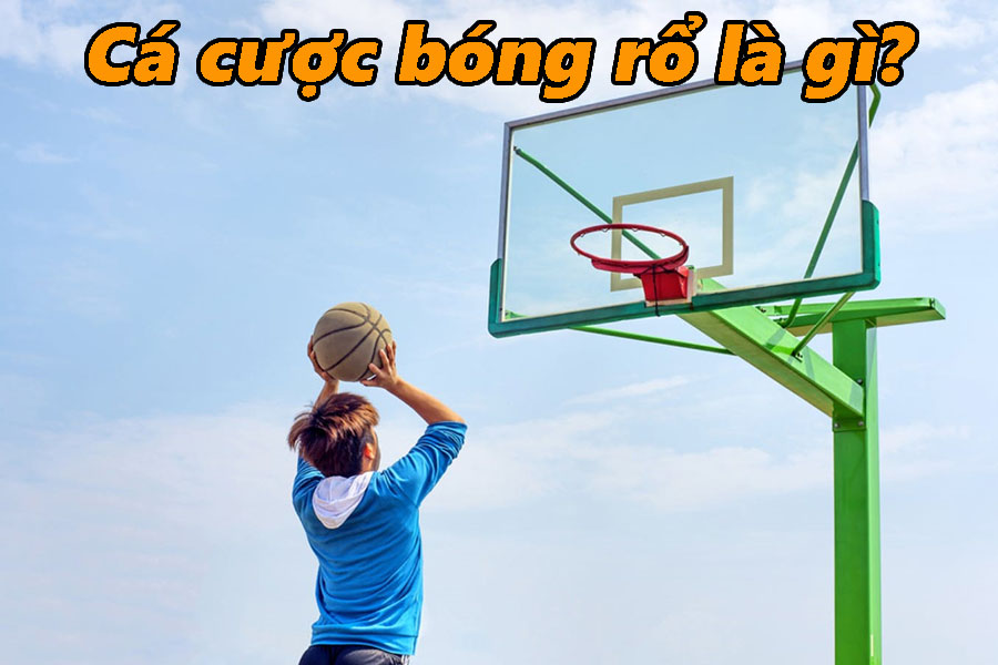 Cá cược bóng rổ là gì?