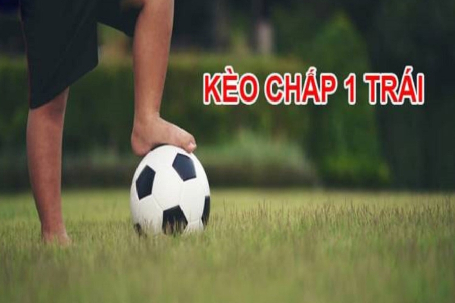 Kèo chấp 1 trái được khá nhiều người lựa chọn